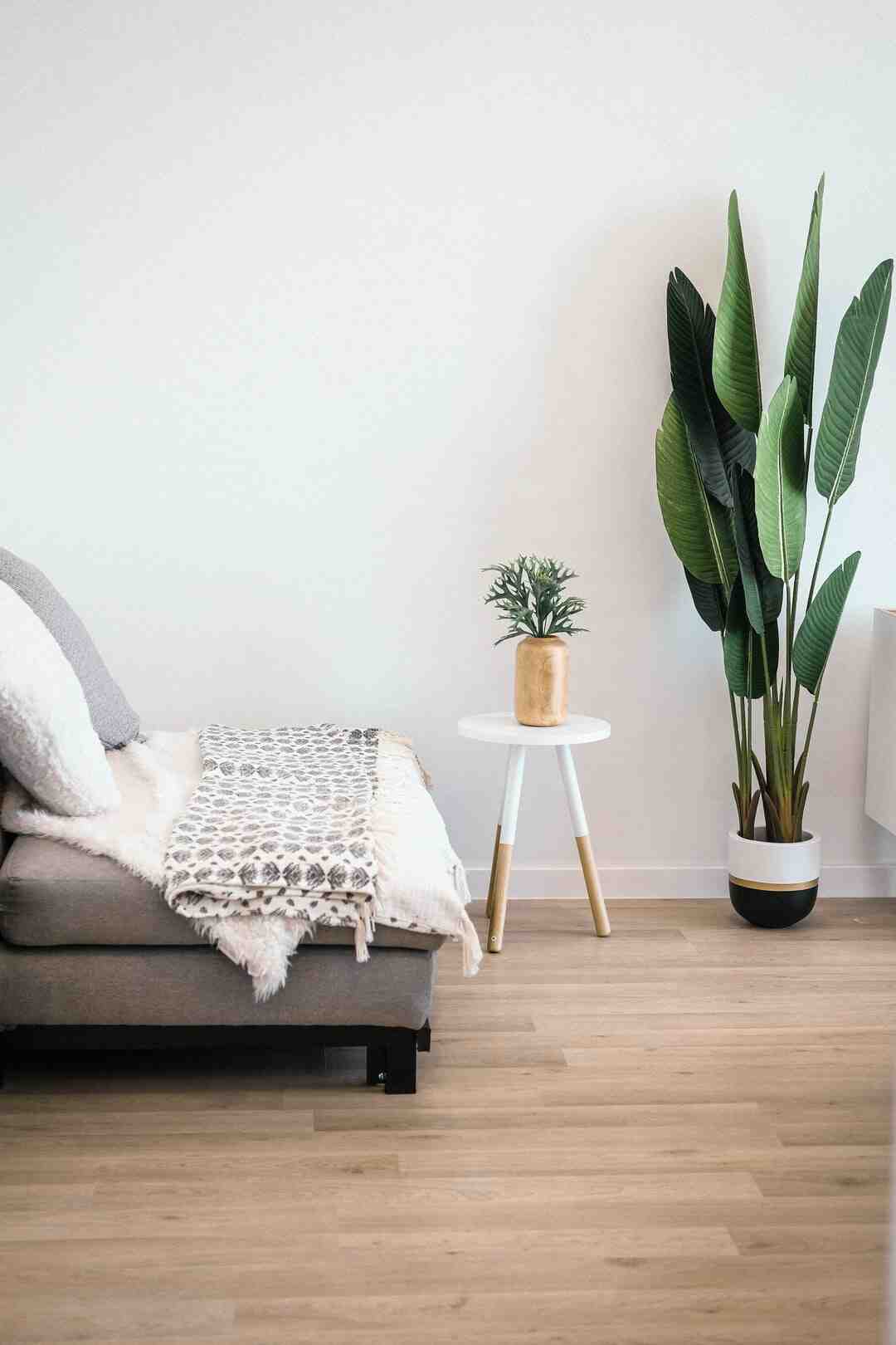 Comment s'appelle la peur de se faire cambrioler ?