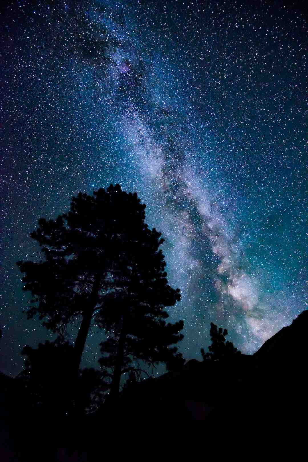 Est-il encore intéressant d'installer des panneaux photovoltaïques ?