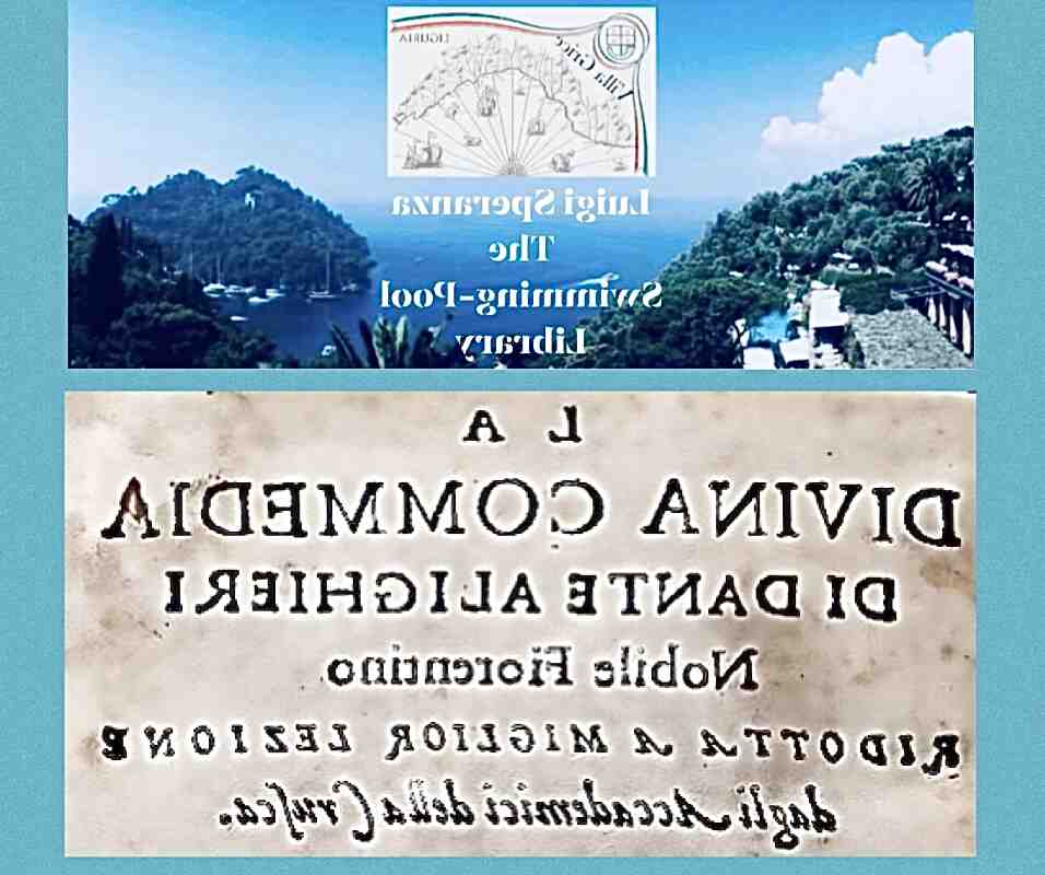 Quel est le poids d'une micro pelle ?