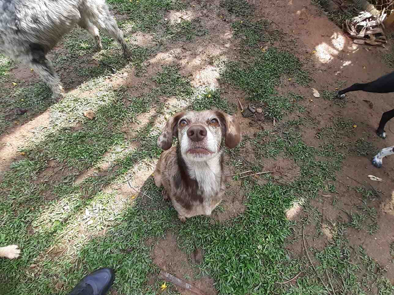 Quels sont les métiers de l'accueil ?